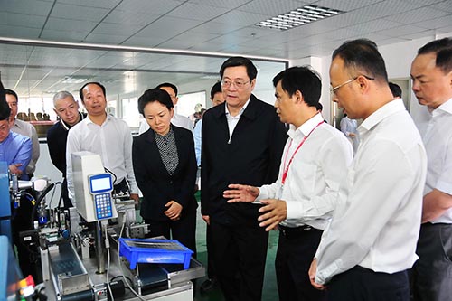 Der Sekretär des Parteikomitees der Provinz Hunan, Jiahao Du, besucht die DaoXian LVSUN Company zur Untersuchung
