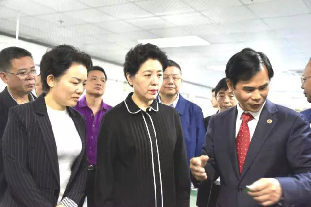 Wu Lan, stellvertretender Sekretär des Provinzkomitees von Hunan, besuchte LVSUN im Landkreis Dao, um Nachforschungen anzustellen